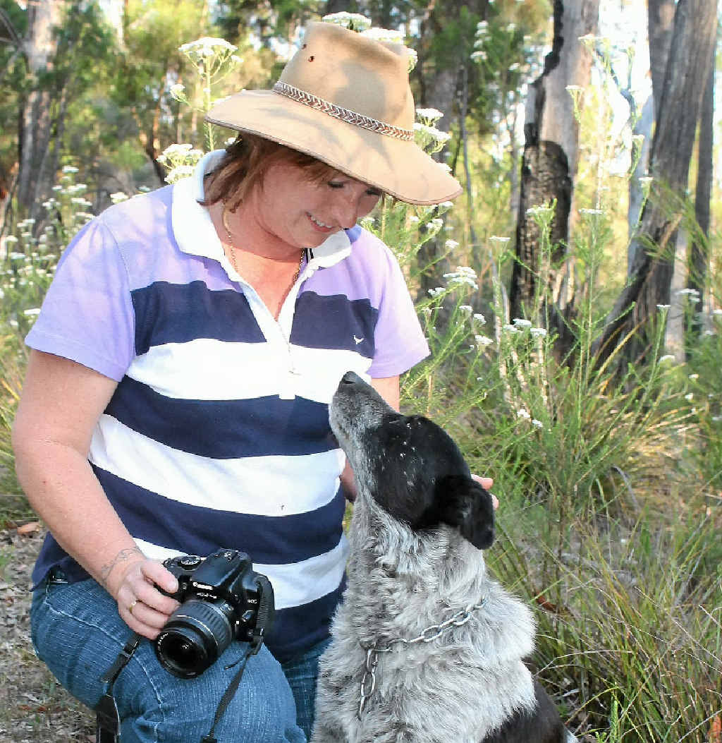 BEST OF FRIENDS: Paula Boatfield and her faithful blue cattle dog Levi are inseparable when wandering around the family’s Amiens property. BEST OF FRIENDS: Paula Boatfield and her faithful blue cattle dog Levi are inseparable when wandering around the family’s Amiens property.